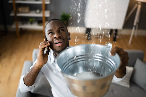 Best Flood damage cleanup  in Longview, TX