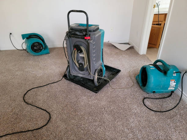 Best Flood restoration services  in Longview, TX