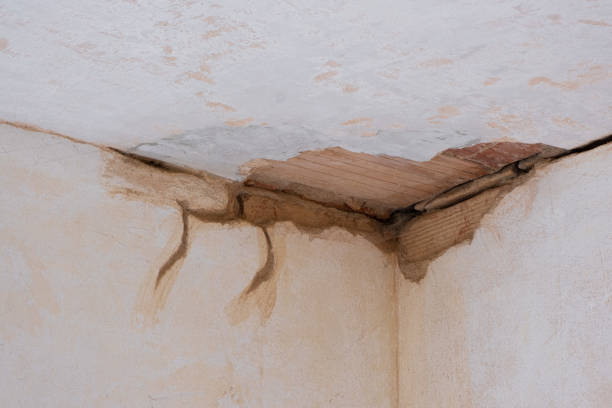Best Water damage restoration cost  in Longview, TX