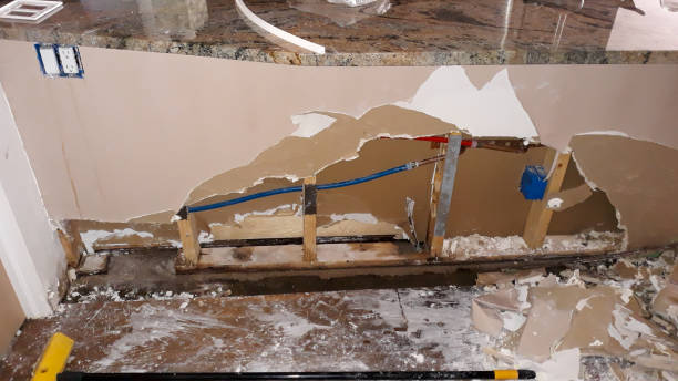 Best Mold removal after water damage  in Longview, TX